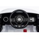 VOLKSWAGEN BEETLE DUNE