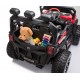 Buggy EVORA