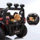 Buggy EVORA