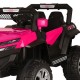 BUGGY MAVERICK ROSA