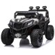 Buggy EVORA