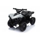 QUAD 6V