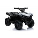 QUAD 6V