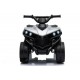 QUAD 6V