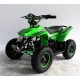 Quad UTV MAPACHE 36V  800W