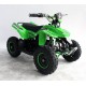 Quad UTV MAPACHE 36V  800W