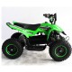 Quad UTV MAPACHE 36V  800W