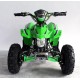 Quad UTV MAPACHE 36V  800W