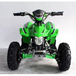 Quad UTV MAPACHE 36V  800W