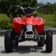 Quad UTV MAPACHE 36V  800W