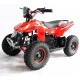 Quad UTV MAPACHE 36V  800W