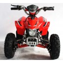 Quad UTV MAPACHE 36V  800W ROJO