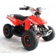 Quad UTV MAPACHE 36V  800W