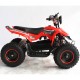 Quad UTV MAPACHE 36V  800W
