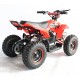 Quad UTV MAPACHE 36V  800W