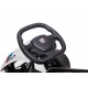 Kart eléctrico FX24V
