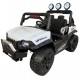 UTV GUEPARD 12v TODOTERRENO 4X4