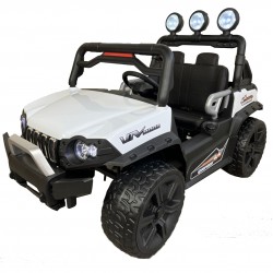 UTV GUEPARD 12v TODOTERRENO 4X4
