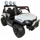 UTV GUEPARD 12v TODOTERRENO 4X4