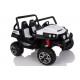 Buggy 12V