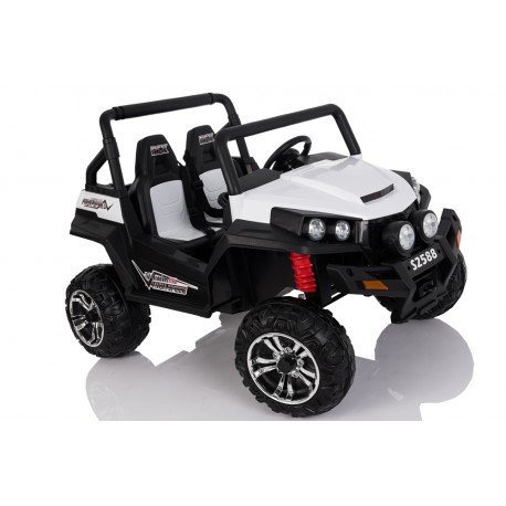 Buggy 12V