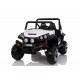 Buggy 12V