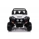 Buggy 12V
