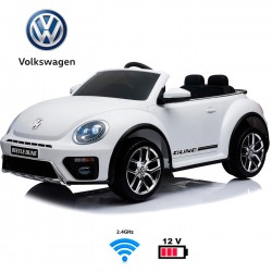 VOLKSWAGEN BEETLE DUNE
