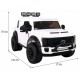 Ford Super Duty 24V