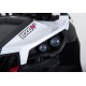 Buggy XM-24V ROJO