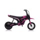 Moto eléctrica BEKER 24V 350W